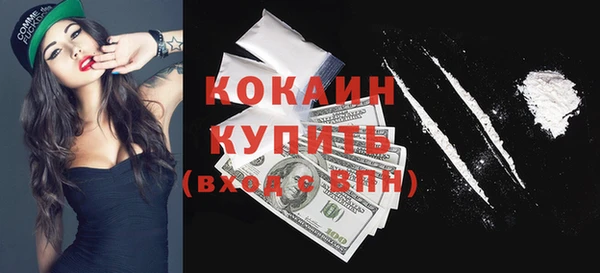 шишки Баксан