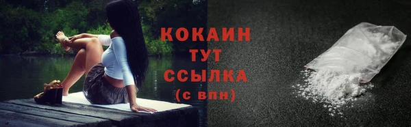 дживик Белокуриха