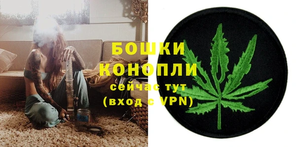 дживик Белокуриха