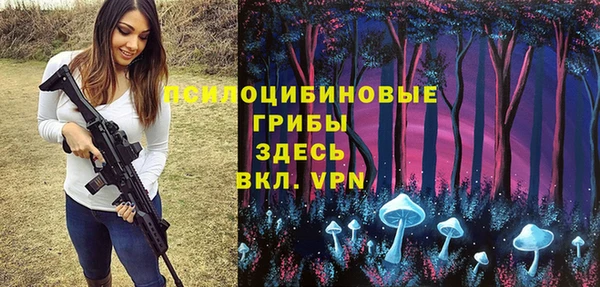 дживик Белокуриха