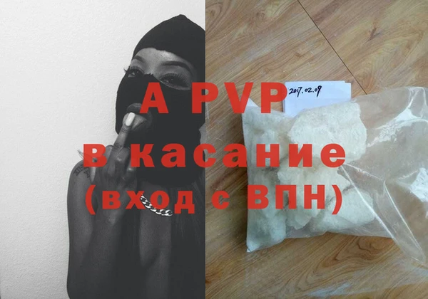 ПСИЛОЦИБИНОВЫЕ ГРИБЫ Белоозёрский