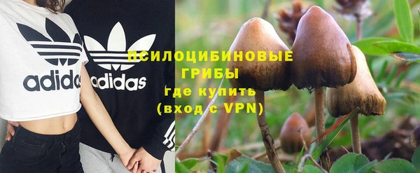 дживик Белокуриха