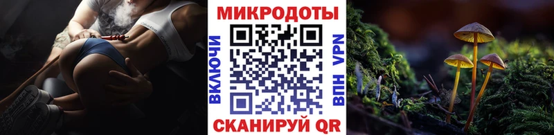 Псилоцибиновые грибы MAGIC MUSHROOMS Чайковский